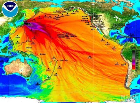 日本核污水入海最终会流向哪里