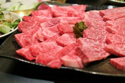 日本生肉