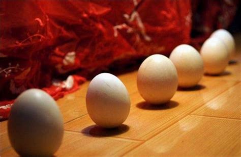 春分鸡蛋怎么可以立起来