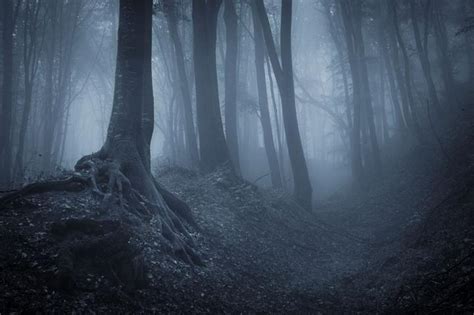 暗黑森林有什么小说