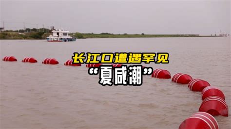 最严重的咸潮上海