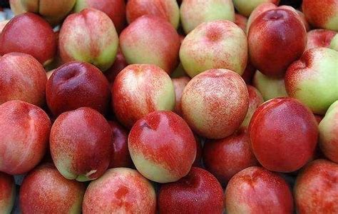 最好吃的油桃是什么品种