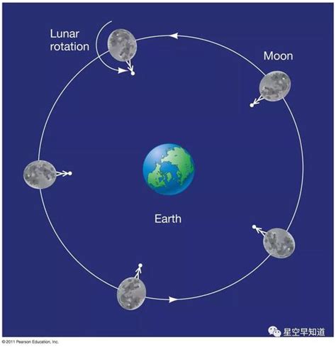 月球自转周期