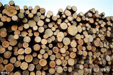 木材行业推广方案