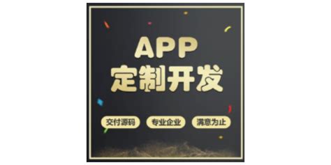 杨浦区网络软件开发代理价钱
