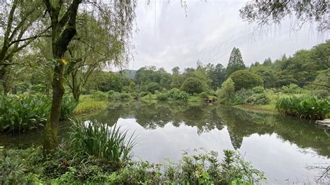 杭州西湖区植物园