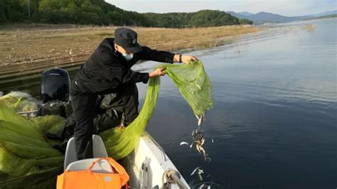 松花湖禁渔最新政策
