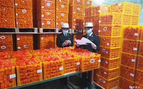 柑橘出口运输单证