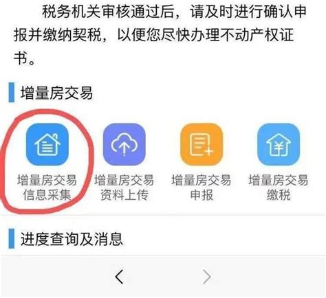 桂林房子契税怎么在网上交
