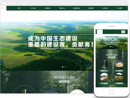桂林网站优化单位