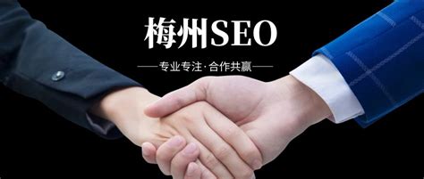 梅州seo网络营销专员