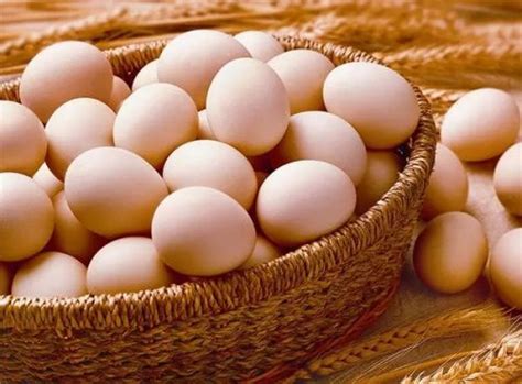 梦见买鸡蛋好大个是什么预兆