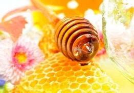 梦见好多蜜蜂和蜂蜜是什么预兆