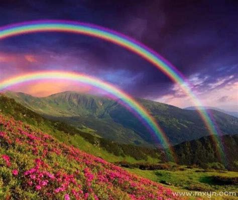 梦见彩虹表示什么