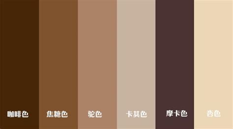 棕色是什么样子的颜色