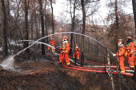 森林消防以水灭火全过程