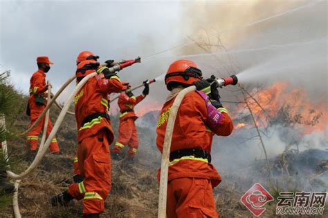 森林消防灭火十种技能