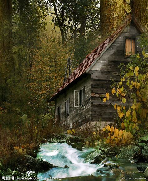 森林里的神秘小木屋