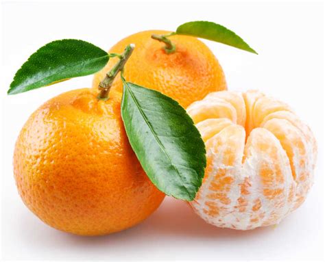 橘子系列网名