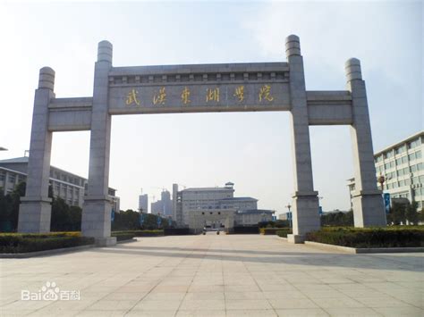 武汉东湖属于野鸡大学吗