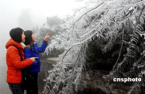 武汉冻雨形成雨凇景观