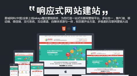 武汉国外建站网站