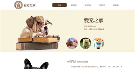 武汉宠物网站有哪些平台