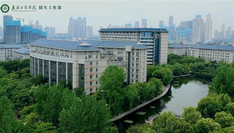 武汉工商学院位置