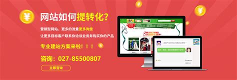 武汉网站建设推广品牌公司