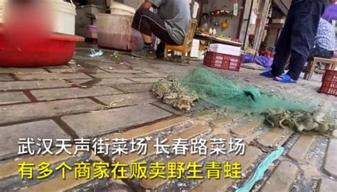 武汉菜市场明目张胆卖青蛙