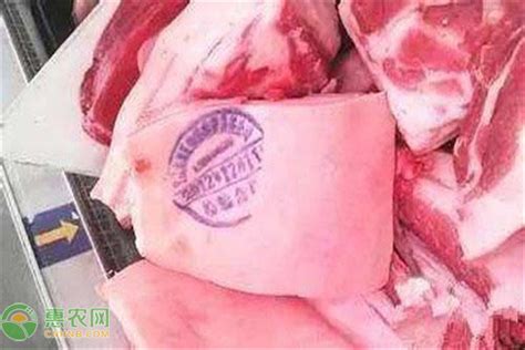 民权猪肉今日价格一斤多少钱