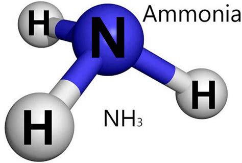 氨气的分子活跃度
