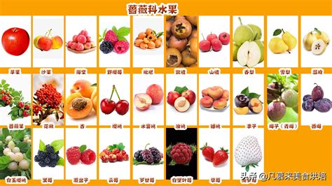 水果种类大全图片