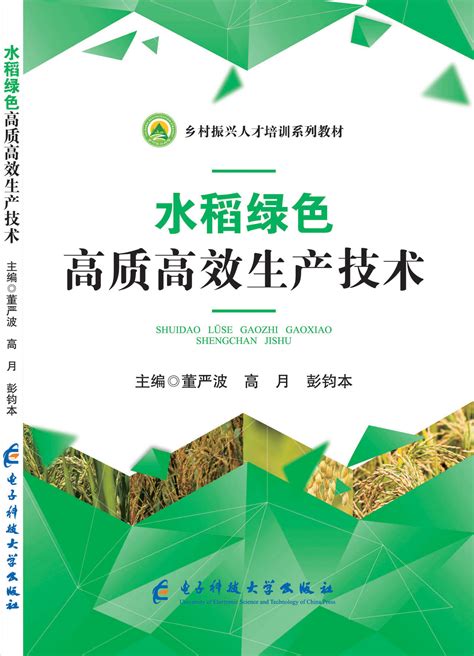 水稻绿色高产高效栽培技术指标