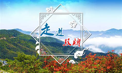 永州双牌县人民政府网站