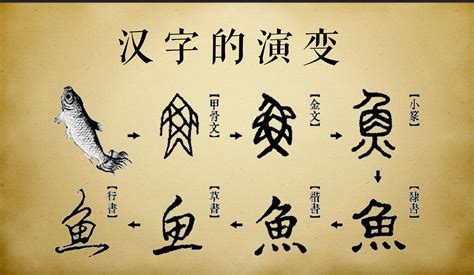 汉字的历史发展演变