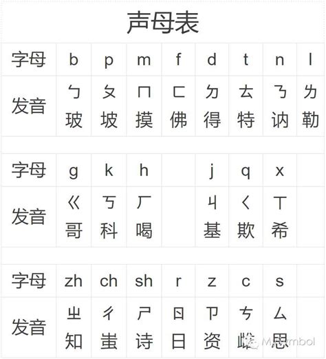 汉语拼音音节有声调吗