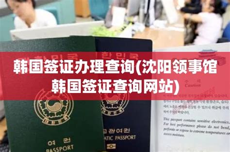 沈阳办理签证网站