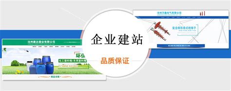 沧县网站布局优化