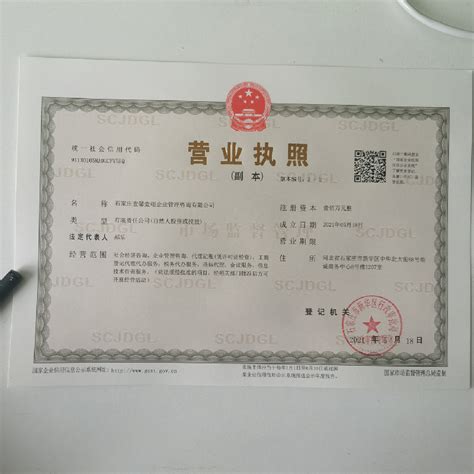 沧州公司营业执照申请网站