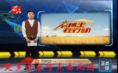 河北农民频道电视直播