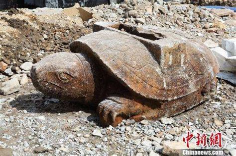 河北村民挖出巨大石龟