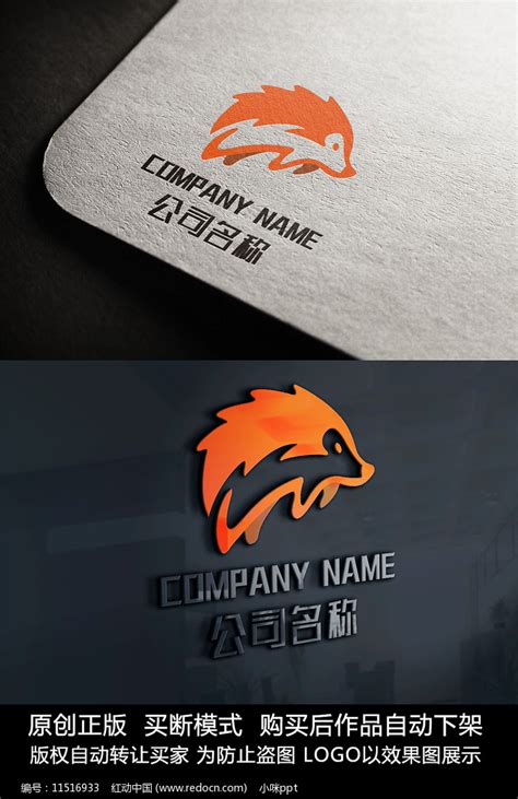 河南刺猬品牌设计公司