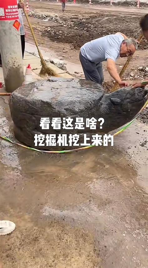 河南村修路挖出大石龟