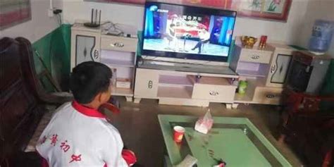 河南电视台法制教育直播在线观看