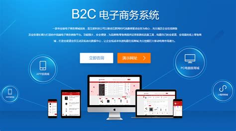 河南b2c电商平台开发
