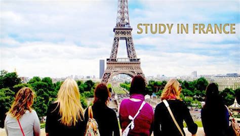 法国做留学中介工资