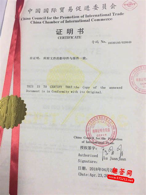 大使馆签证存款证明书图片