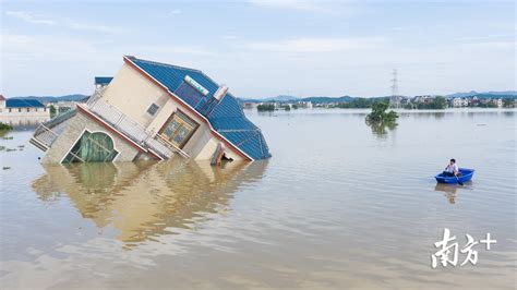 洛河洪水图片大全
