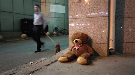 流浪狗遇上被丢弃的小熊玩偶